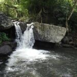 Pirates of the Caribbean SVG with Trubb Taxi Tours - Exploring the Itinerary in Detail