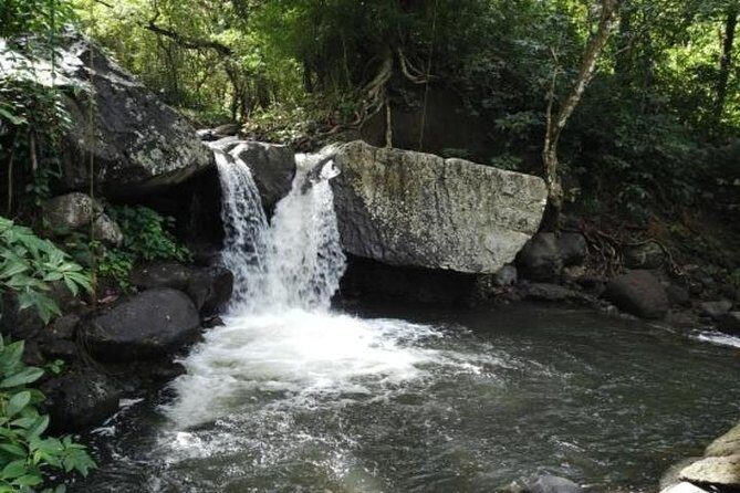 Pirates of the Caribbean SVG with Trubb Taxi Tours - Exploring the Itinerary in Detail