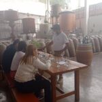 Pisco and wine route, Huacachina, Buggies, Sandboard and sunset - The Sum Up