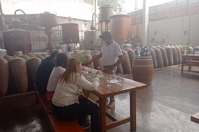 Pisco and wine route, Huacachina, Buggies, Sandboard and sunset - The Sum Up