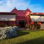 Pisco and Wine Tour at Night in Ica - Final Thoughts