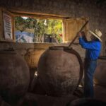 Pisco and wine tour through the Majes Valley - Why This Tour Works for You