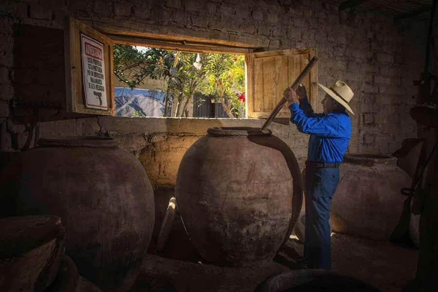 Pisco and wine tour through the Majes Valley - Why This Tour Works for You