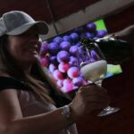 Pisco route | tasting | experience in the desert - Practical Details That Matter