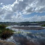 Pitch Lake and the Hanuman Murti, Temple in the Sea. Tour - FAQs