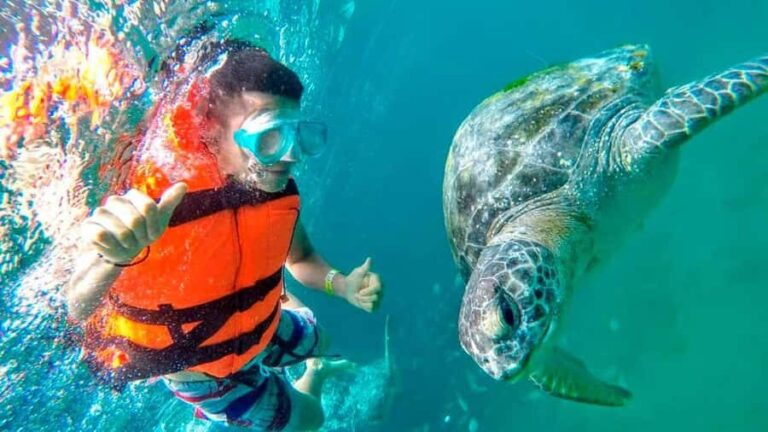 Piura: Adventure in Mancora with Underwater Turtle Encounter - Exploring the Tour in Detail