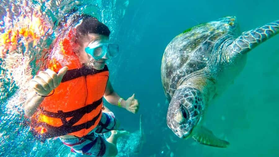 Piura: Adventure in Mancora with Underwater Turtle Encounter - Exploring the Tour in Detail