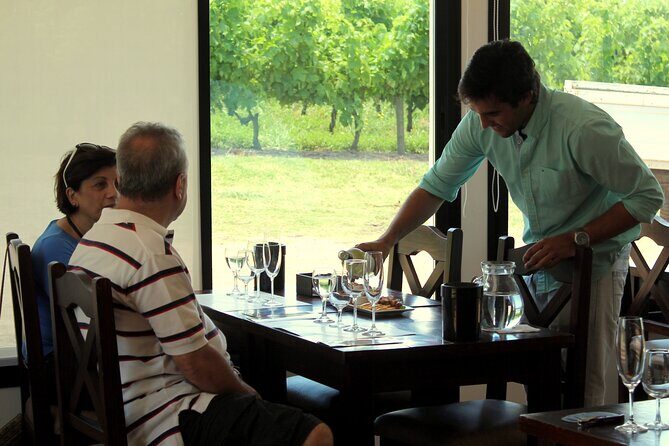 Pizzorno Winery with Lunch and Wine Tasting - The Sum Up: Is This Tour Right for You?