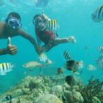 Playa Blanca: Daytour with Snorkeling and Racoon Sighting - Authenticity and Experience: What Travelers Say