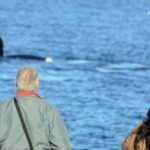 Playa El Doradillo City tour - A Detailed Look at the Playa El Doradillo City Tour