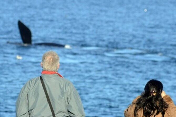 Playa El Doradillo City tour - A Detailed Look at the Playa El Doradillo City Tour