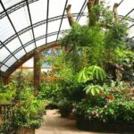 Poas Volcano and La Paz Waterfall Gardens Private Tour - FAQ