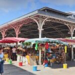 Pointe à Pitre City Tour, Island Stopover, and Beach Breaks - Who Should Consider This Tour?