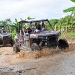 Polaris Familiar - Final Thoughts: Is It Worth It?