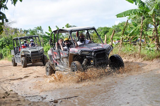 Polaris Familiar - Final Thoughts: Is It Worth It?