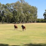 Polo day - barbecue and wine experience at Pompeya Polo - Ascochinga-Córdoba - Exploring the Charm of Pompeya Polo: A Full Breakdown