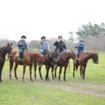 Polo day in Pilar, Buenos Aires - Who Will Love This Tour?