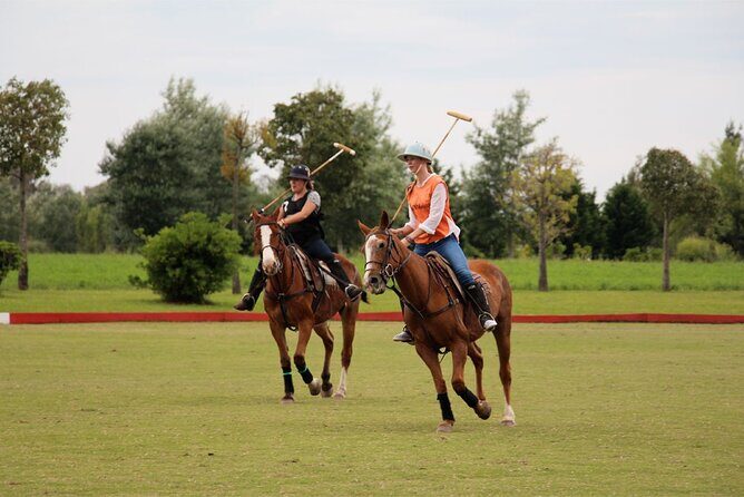 Polo Day with Argentine Asado Day Tour from Buenos Aires - Who Will Love This Tour?