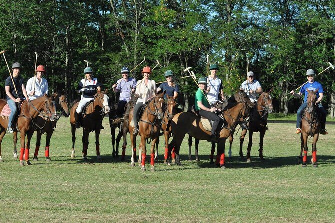 Polo Lessons from Buenos Aires by Polo Elite - Who Will Enjoy This Tour?