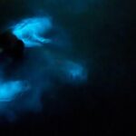 Ponce, Yauco, La Parguera & BioBay Full Day Experience - Final Thoughts