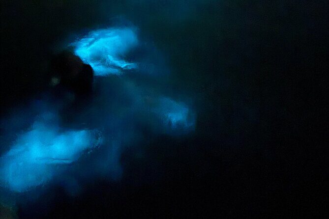 Ponce, Yauco, La Parguera & BioBay Full Day Experience - Final Thoughts