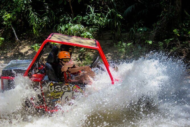 Pop Buggy Excursion from Amber Cove and Taino Bay Puerto Plata - Who Should Consider This Tour?