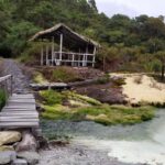 Popayan: Condor Watching in Purace + San Juan Hot Springs - What Makes This Tour Stand Out?