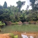 Pork Highway & Cayey Cultural & Gastronomical Experience - Exploring the Itinerary in Detail