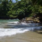 Port of Spain: Day Trip to Las Cuevas Beach - Exploring the Itinerary: What to Expect on the Day
