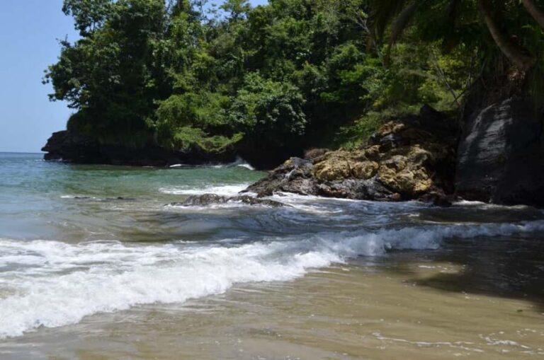 Port of Spain: Day Trip to Las Cuevas Beach - Exploring the Itinerary: What to Expect on the Day