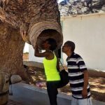 Port Royal Heritage & Sightseeing Tour from Kingston - Who Is This Tour Best For?