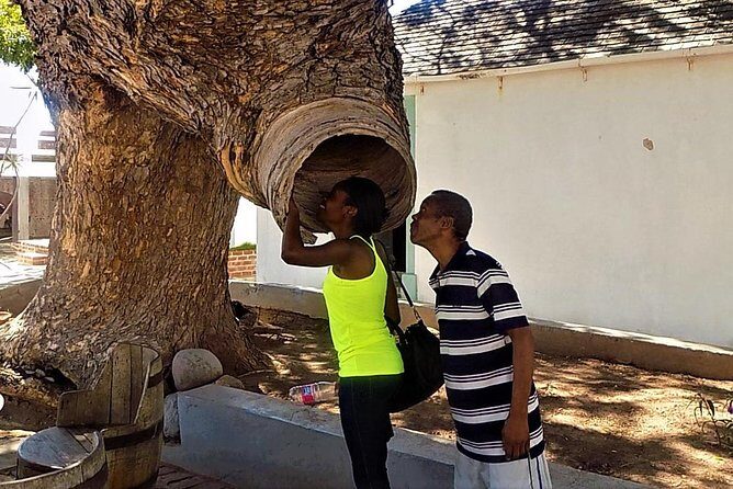 Port Royal Heritage & Sightseeing Tour from Kingston - Who Is This Tour Best For?