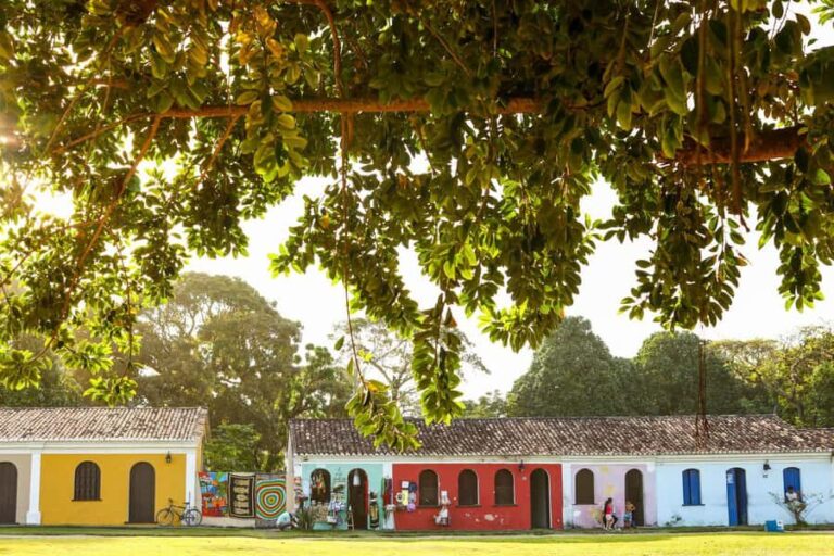 Porto Seguro: Private City Tour Trancoso Beach - What Makes This Tour Stand Out?