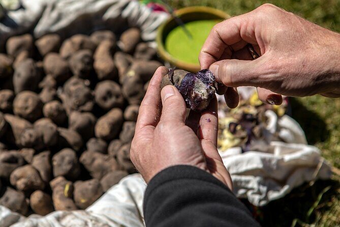Potato Park Lagoons Private Hike with Lunch in Sacred Valley - Why This Tour Is Worth Considering