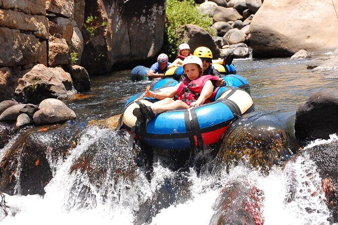 Premium Adventure Tour on the slopes of the Rincón de la Vieja Volcano - Authentic Reviews: What Past Participants Say