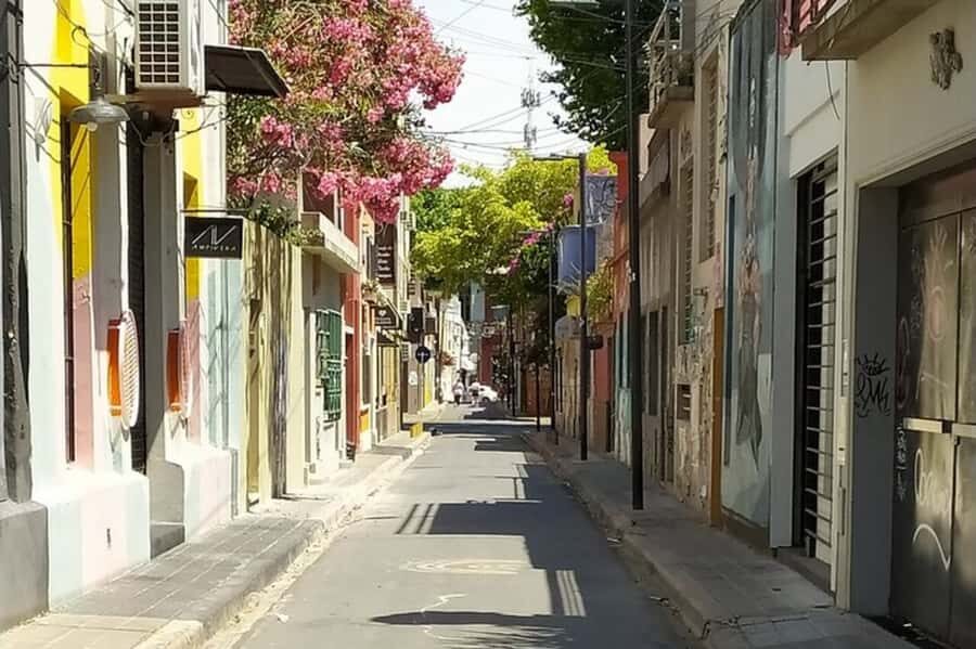 Premium Argentinian Wine and Malbec Tasting & Urban Art Tour - A detailed look at the Premium Argentinian Wine and Malbec Tasting & Urban Art Tour