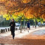 Premium Buenos Aires Private City Tour - Exploring Buenos Aires in Style and Comfort