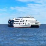 Premium Day Tour to Colonia del Sacramento - Authentic Insights from Travelers