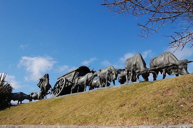 Premium Day Tour To Montevideo From Buenos Aires - Transportation & Timing: Why It Matters