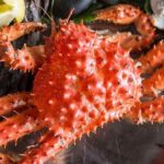 Premium King Crab Route in Tierra del Fuego - A Detailed Look at the Tour Experience