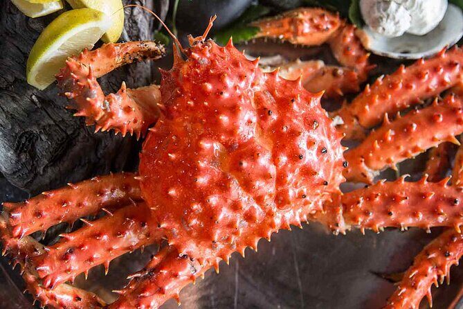 Premium King Crab Route in Tierra del Fuego - A Detailed Look at the Tour Experience