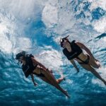 Premium Morning Snorkel Sail with Champagne Brunch - The Bottom Line: Who Should Consider This?