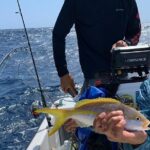 Premium Private Fishing, Snorkelling and Beach cookout tour in San Pedro,Belize - Final Thoughts