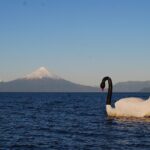 Premium Small-Group Half day Tour to Frutillar in Puerto Varas - The Value of This Tour