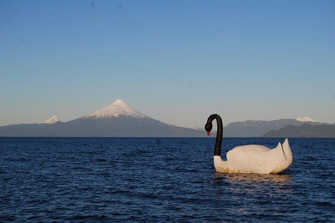 Premium Small-Group Half day Tour to Frutillar in Puerto Varas - The Value of This Tour