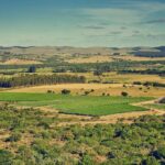 Premium Tasting Viña Edén - The Final Word