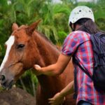 Premium Tour: Rincón de la Vieja Volcano Adventure Combo Tour - Who Is This Tour Best For?