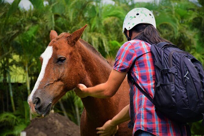 Premium Tour: Rincón de la Vieja Volcano Adventure Combo Tour - Who Is This Tour Best For?