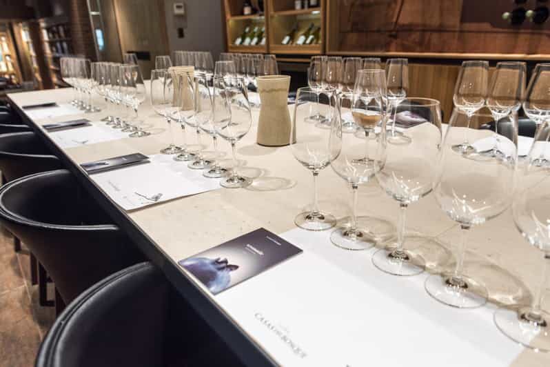 Premium Wine Tasting at Casas del Bosque + Private Transport - Why This Tour Stands Out