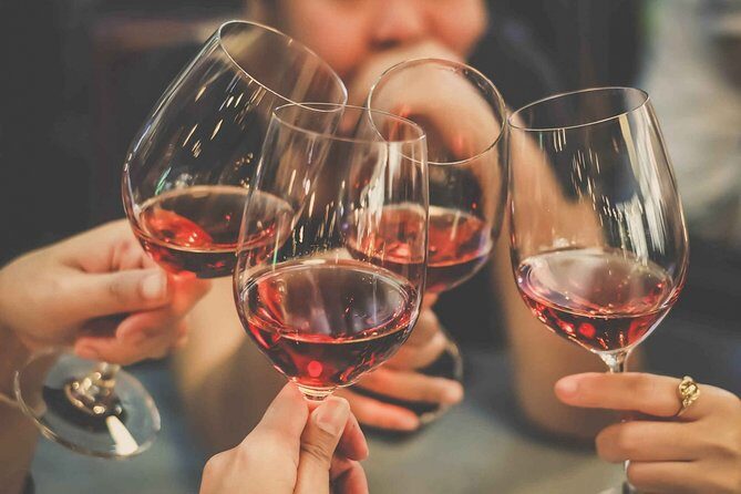 Premium Wine Tasting in Santiago de Chile - Who Will Love This Tour?